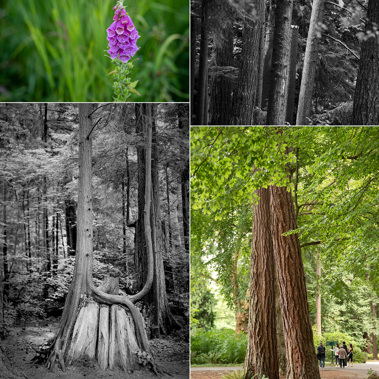 Vancouver Canada Jensen Sutta Event Photography