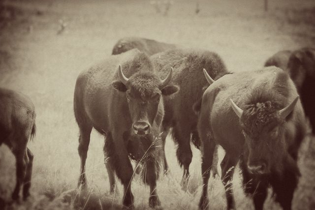 IMG_5297-Edit