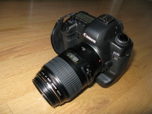 IMG_2517