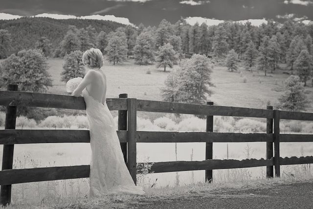 Deer Creek Valley Ranch Colorado Mountain Wedding Venue