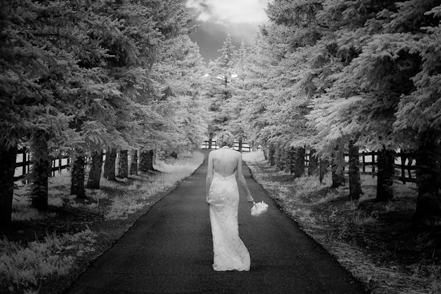 Colorado Mountain Wedding Venue