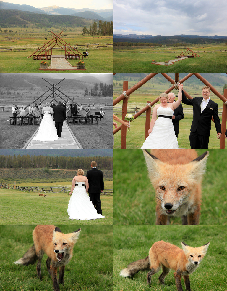 Best Destination Wedding Photographer