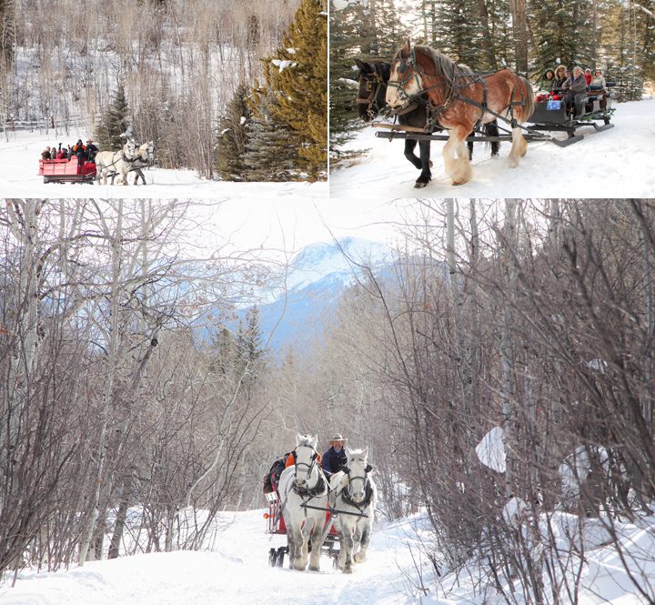 Aspen Colorado Horse drawn sleigh rides Sleigh ride photography in Aspen Colorado