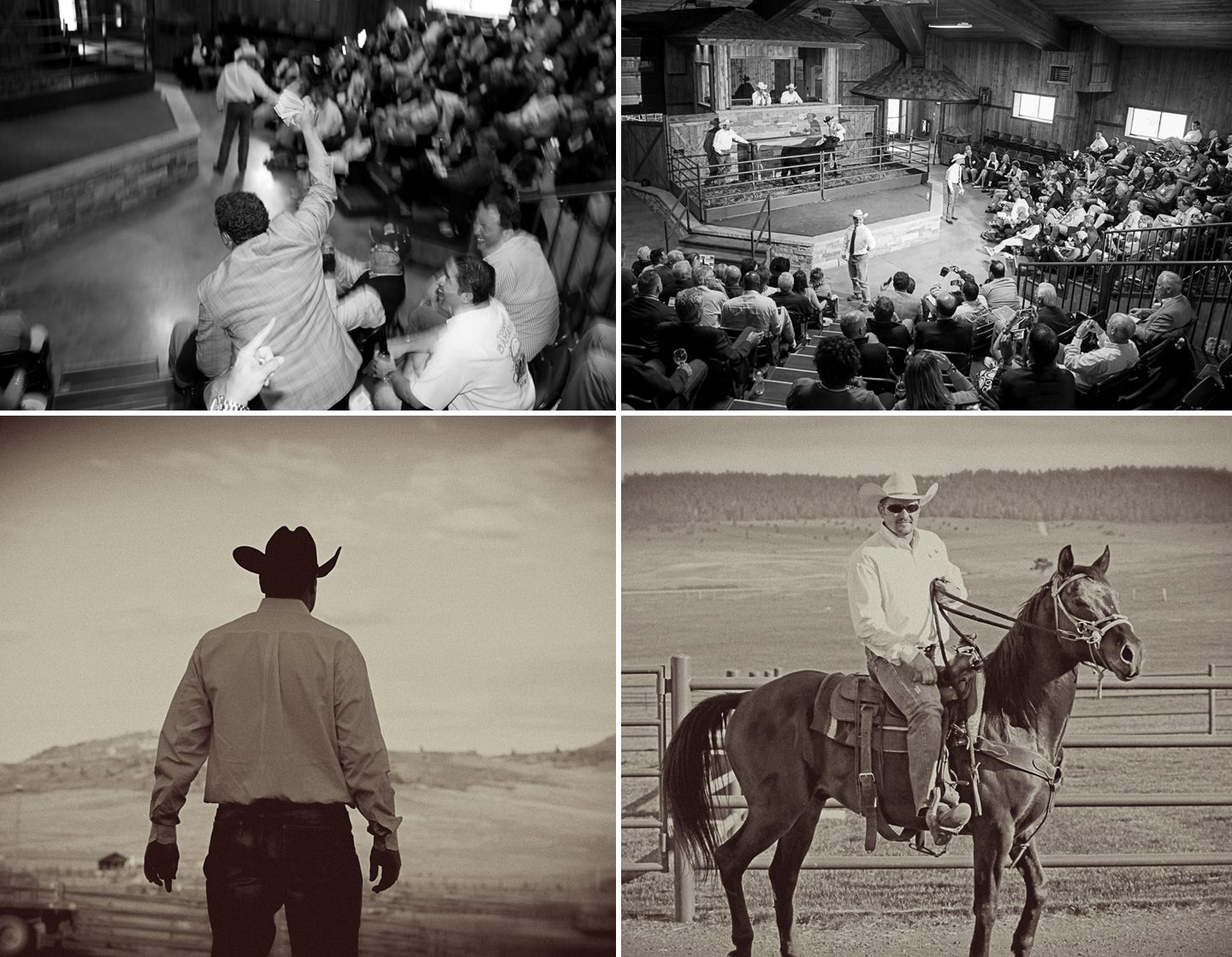 Spruce Mountain Cattle Ranch Colorado Corporate Event Photographer