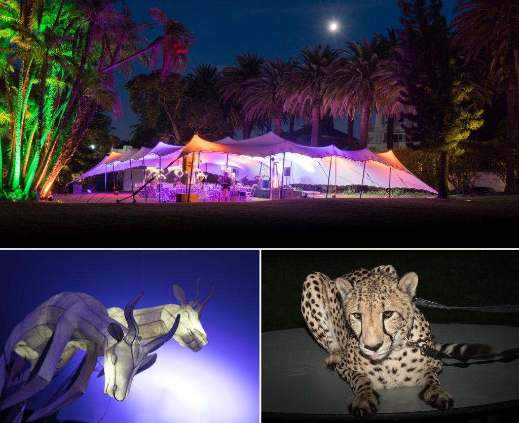 Jensen Sutta event photographer