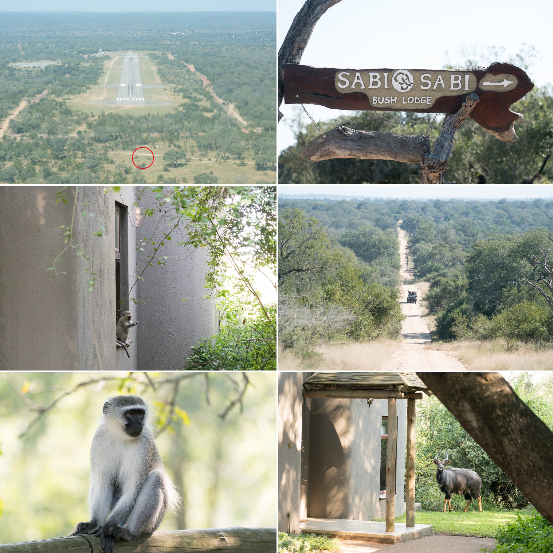Sabi Sabi South Africa Safari Jensen Sutta Event Photography