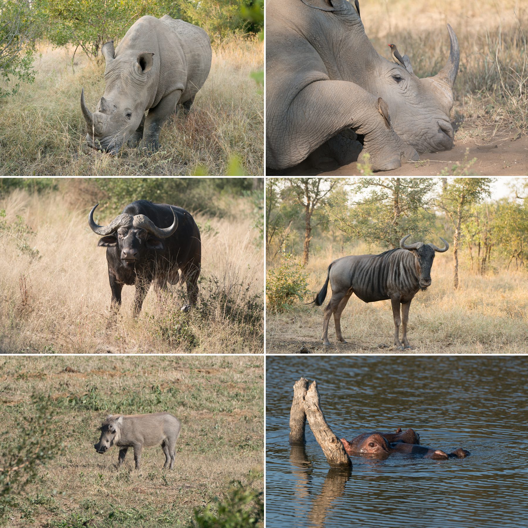 jensen sutta photography