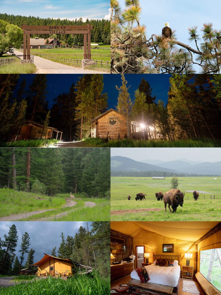 Paws Up Ranch Paws Up Montana Luxury Ranch Resort - Jensen Sutta Event Photography Blog