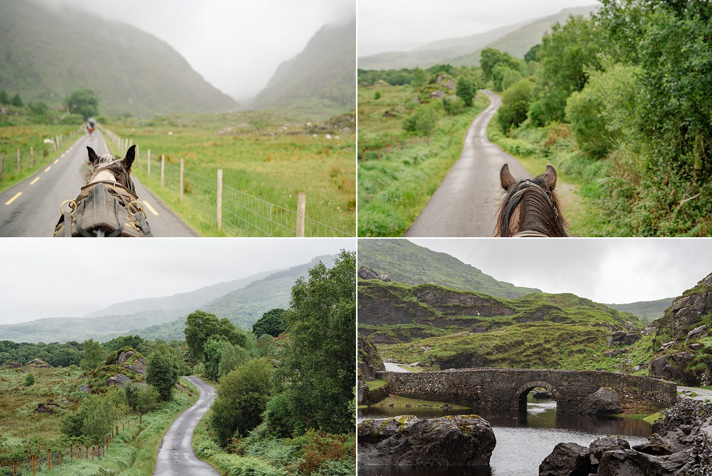 Jaunting Car ride gap of Dunloe, jensen sutta event photographer