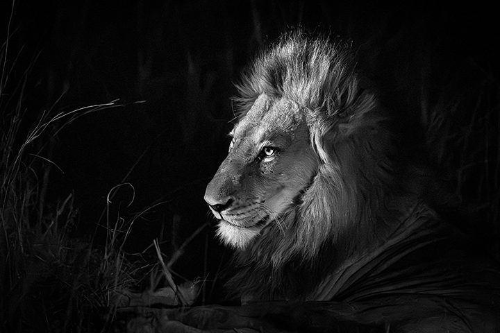 Jensen Sutta Event Photography